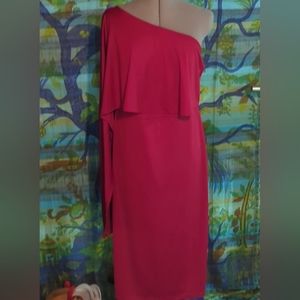 Dress. NWOT. One shoulder. Hot Pink -redish Shade.Elegant.
